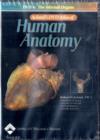 Image for Acland&#39;s DVD Atlas of Human Anatomy, DVD 6: The Internal Organs