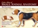 Image for Color Atlas of Small Animal Anatomy