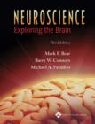 Image for Neuroscience  : exploring the brain