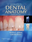Image for Woelfel&#39;s Dental Anatomy : It&#39;s Relevance to Dentistry