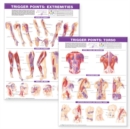 Image for Trigger Point Chart Set: Torso &amp; Extremities  Lam