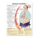 Image for Metabolic Syndrome Anatomical Chart in Spanish (Sindrome metabolico)