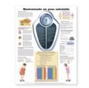 Image for Maintaining a Healthy Weight Anatomical Chart in Spanish (Manteniendo un peso saludable)