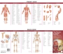Image for Anatomical Chart Company&#39;s Illustrated Pocket Anatomy: The Muscular &amp; Skeletal Systems Study Guide