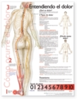 Image for Understanding Pain Anatomical Chart in Spanish