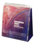 Image for Anatomical Chart Healthcare Education Collection : The Professional&#39;s Reference for Patient Communication