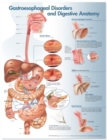 Image for Gastroesophageal Disorders and Digestive Anatomy Chart