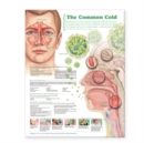 Image for Understanding the Common Cold Anatomical Chart