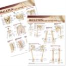 Image for Lippincott Williams and Wilkins Atlas of Anatomy Skeletal System Chart Set