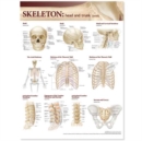 Image for Lippincott Williams &amp; Wilkins Atlas of Anatomy Skeletal System Chart: Head and Trunk