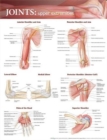 Image for Joints of the Upper Extremities Anatomical Chart