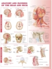 Image for Anatomy and Injuries of the Head and Neck Anatomical Chart