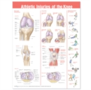 Image for Athletic Injuries of the Knee Anatomical Chart