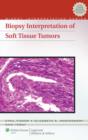 Image for Biopsy Interpretation of Soft Tissue Tumors
