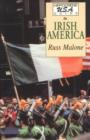 Image for Hippocrene U.S.A. Guide to Irish America