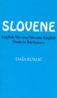 Image for Slovene-English / English-Slovene Modern Dictionary