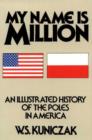 Image for My name is million  : an illustrated history of the Poles in America