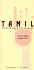 Image for Tamil-English, English-Tamil dictionary & phrasebook