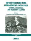 Image for Infrastructure Risk Management Processes : Natural, Accidental and Deliberate Hazards