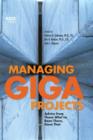 Image for Managing gigaprojects  : advice from those who&#39;ve been there, done that