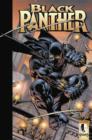 Image for Black Panther: Enemy Of The State Tpb