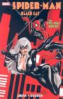 Image for Spider-Man and the Black Cat  : the evil that men do