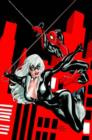 Image for Spider-man Black Cat: The Evil That Men Do