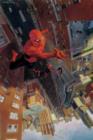 Image for Spectacular Spider-Man Volume 3: Here There Be Monsters Tpb