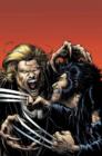 Image for Wolverine : v. 3 : Return of the Native 