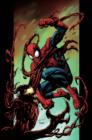 Image for Ultimate Spider-man Vol.11: Carnage