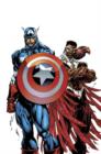 Image for Captain America and The Falcon : v. 1 : Two Americas