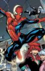Image for Marvel Knights Spider-Man Volume 1: Down Among The Dead Men Tpb