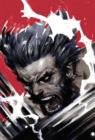 Image for Wolverine : Soultaker 