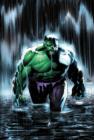 Image for Incredible Hulk : Tempest Fugit