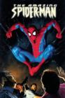 Image for Amazing Spider-Man