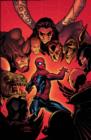 Image for Marvel Knights Spider-Man