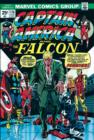 Image for Captain America and the Falcon