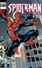 Image for Marvel Knights Spider-ManVol. 1