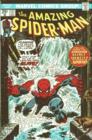Image for Essential the amazing Spider-ManVol. 7