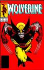 Image for Wolverine classicVol. 4