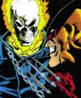 Image for Marvel Comics Presents: Wolverine Vol.4