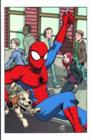 Image for Spider-man Loves Mary Jane Vol.2: The New Girl