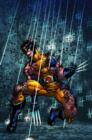 Image for Wolverine: The Death Of Wolverine