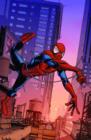 Image for Marvel Adventures Spider-man