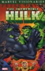 Image for Hulk Visionaries: Peter David Vol.6