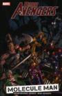 Image for Dark Avengers Vol.2: Molecule Man