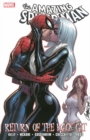 Image for Spider-man: Return Of The Black Cat