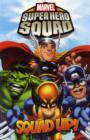 Image for Super hero squadVolume 3