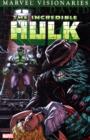 Image for Hulk Visionaries: Peter David Vol.7