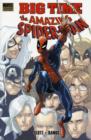 Image for Spider-man: Big Time